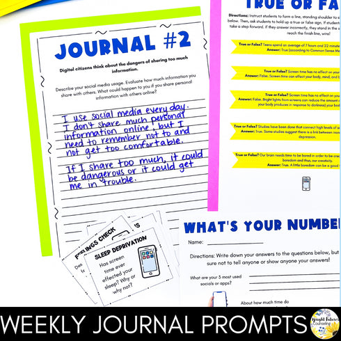 Cyberbullying & Cyber Safety Middle School Counseling Group and Activities