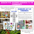 Kindness Small Group Counseling Curriculum with Social Skills Activities