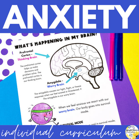 Anxiety & Worry Individual Counseling Curriculum | Coping Skills and Strategies