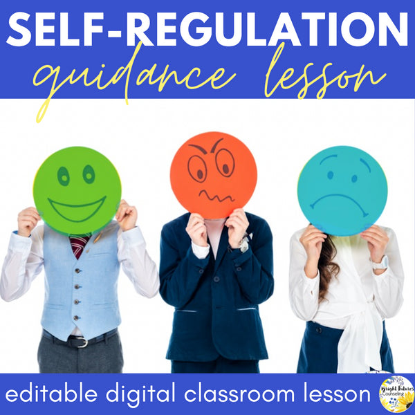 SELF-REGULATION Guidance Lesson - Editable Class Lesson