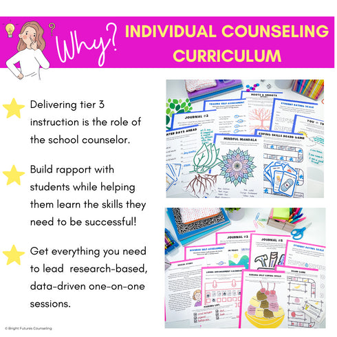 Individual Counseling Curriculum Bundle - 11 Individual Counseling Curricula