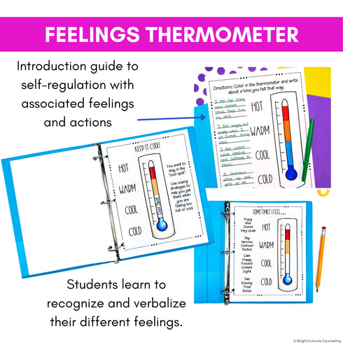 Self-Regulation Coping Skills Journal Emotional Regulation and Managing Emotion