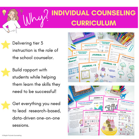 Individual Counseling Curriculum Bundle II with 6 School Counseling Lesson Plans