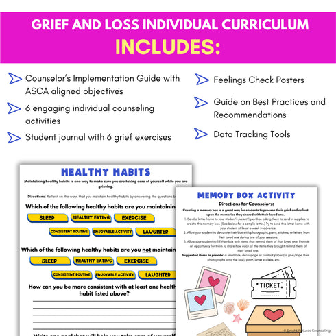 Grief and Loss Middle School Individual Counseling Curriculum- Grief Activities