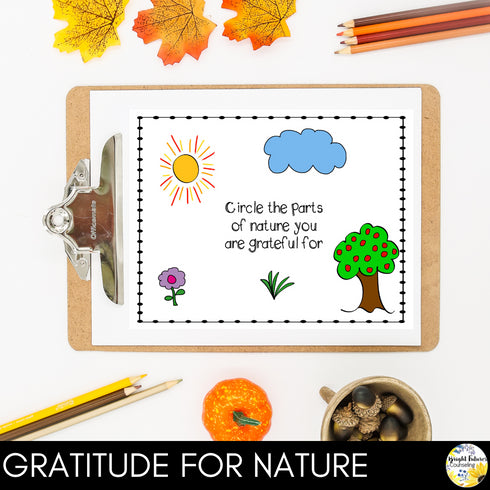 Gratitude Journal Thanksgiving Themed Gratitude Journal