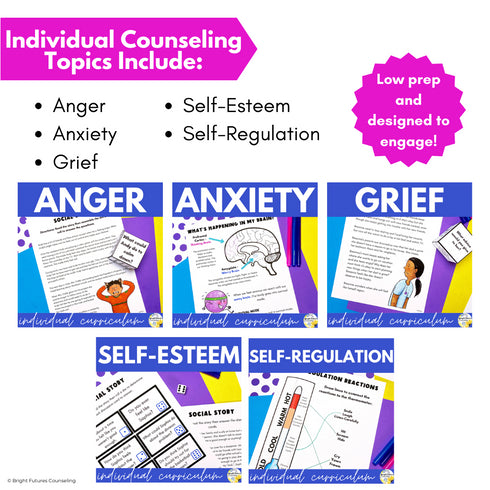 Individual Counseling Curriculum Bundle - Five Individual Counseling Topics