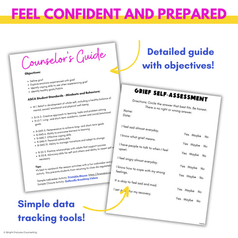 Grief and Loss Middle School Individual Counseling Curriculum- Grief Activities