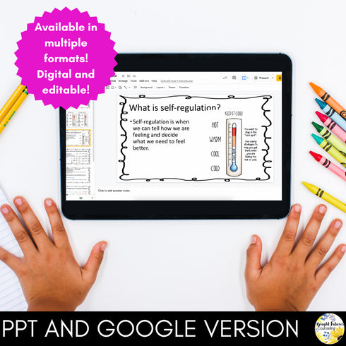 SELF-REGULATION Guidance Lesson - Editable Class Lesson