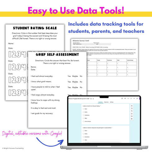 Grief and Loss Middle School Individual Counseling Curriculum- Grief Activities