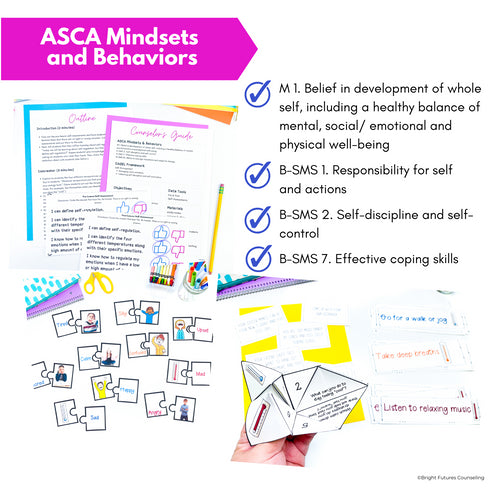Self-Regulation Coping Strategies 3 Tier Curriculum: Research Based Counseling