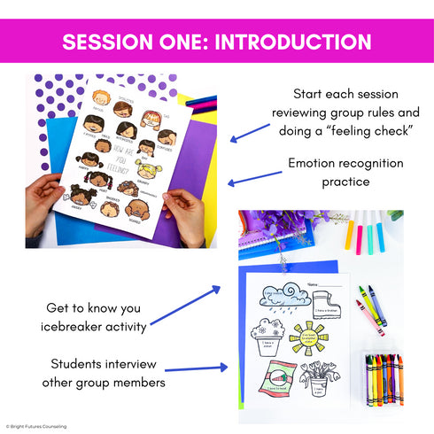 Friendship Activities and Lessons - Blooming Friendships Small Group Counseling