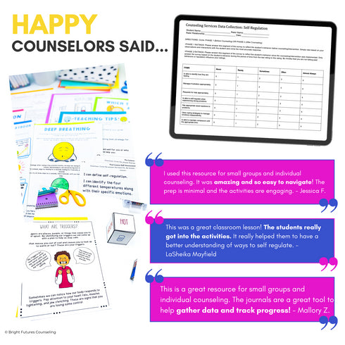 Self-Regulation Coping Strategies 3 Tier Curriculum: Research Based Counseling