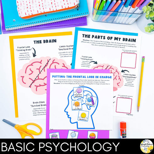 Anxiety Management and Coping Skills SEL Classroom Lesson for School Counseling