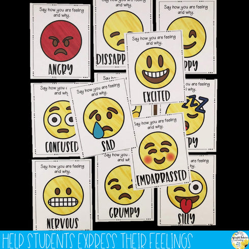 Feelings Check Prompt Cards Emoji Emotions and Feelings Recognition Cards