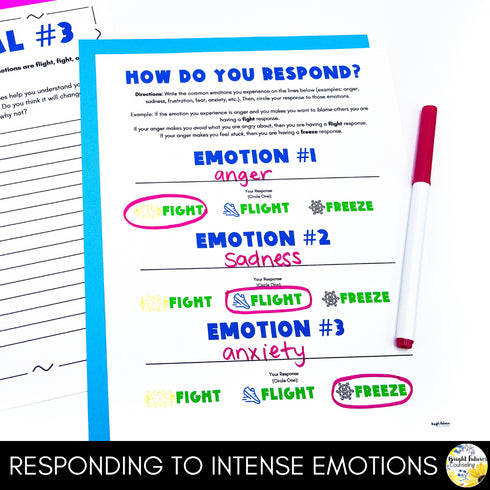 Emotional Regulation & Management Strategies for Middle School Counseling Group