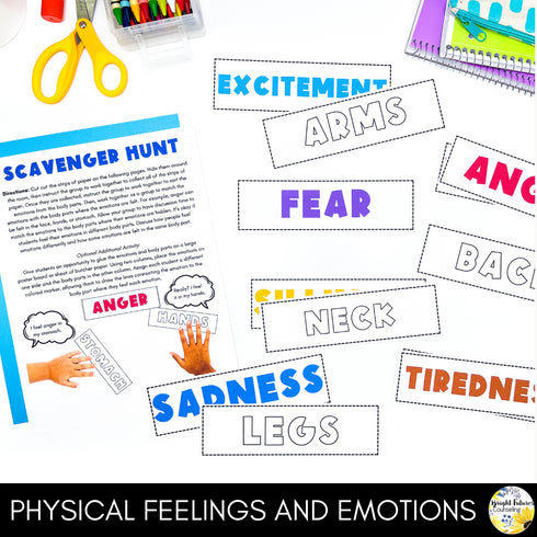 Emotional Regulation & Management Strategies for Middle School Counseling Group