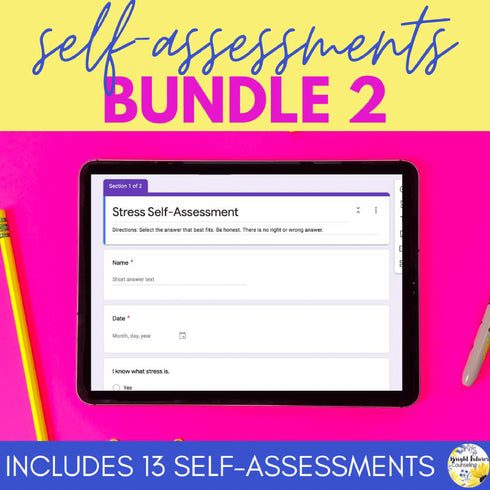 School Counseling Self-Assessment Bundle 2