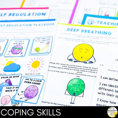 Self-Regulation Lesson for Social Emotional Learning and School Counseling