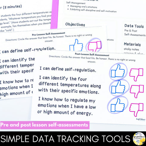Self-Regulation Lesson for Social Emotional Learning and School Counseling