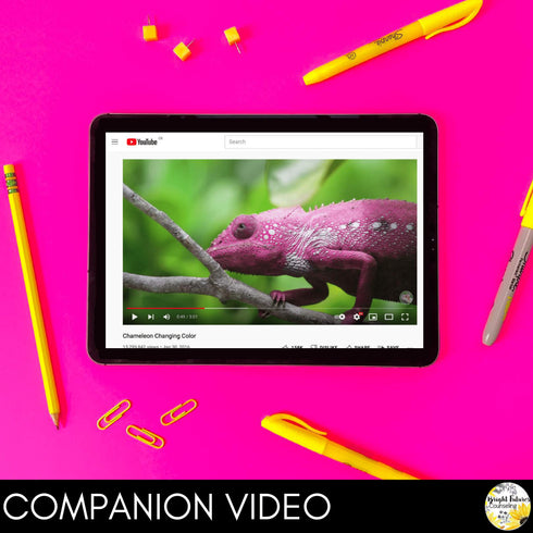 Self-Regulation BUNDLE Self-Regulation Counseling Lesson and Data Tracker