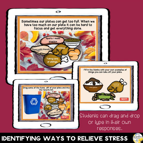 Thanksgiving Responsibility Boom Cards Distance Learning Activity