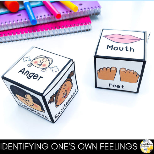 Emotion Recognition and Self Regulation Six Week School Counseling Small Group