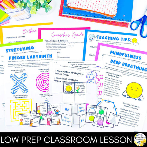 Focus and Attention Lesson for Social Emotional Learning and School Counseling