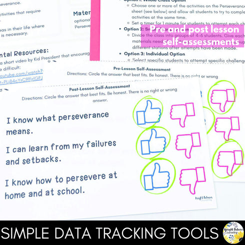 Perseverance and Determination Elementary Counseling SEL Lesson & Activities