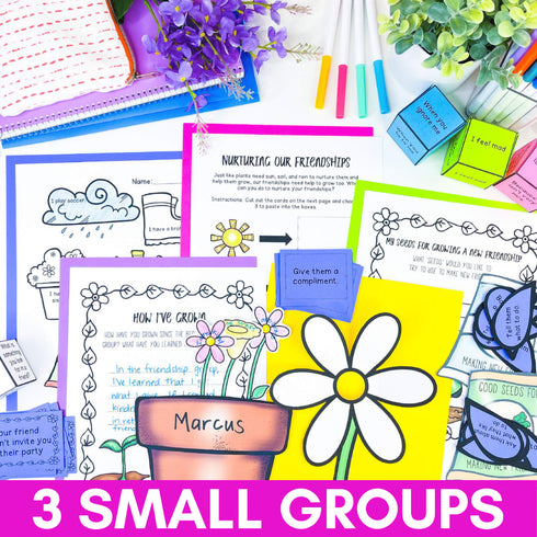 Primary School Counseling Program for Kindergarten through Second Grade