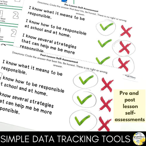 Responsibility Lesson for Social Emotional Learning and School Counseling