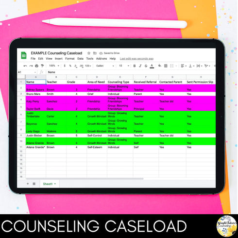 School Counseling Data Collection Spreadsheets - Caseload and Counseling Log