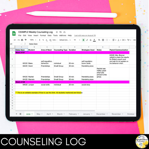 School Counseling Data Collection Spreadsheets - Caseload and Counseling Log