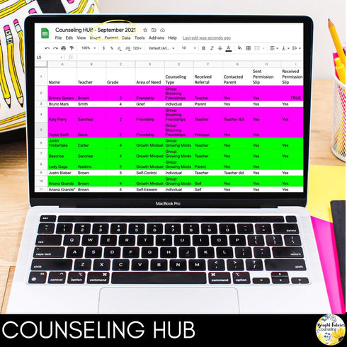 School Counseling Data Collection Spreadsheets - Caseload and Counseling Log