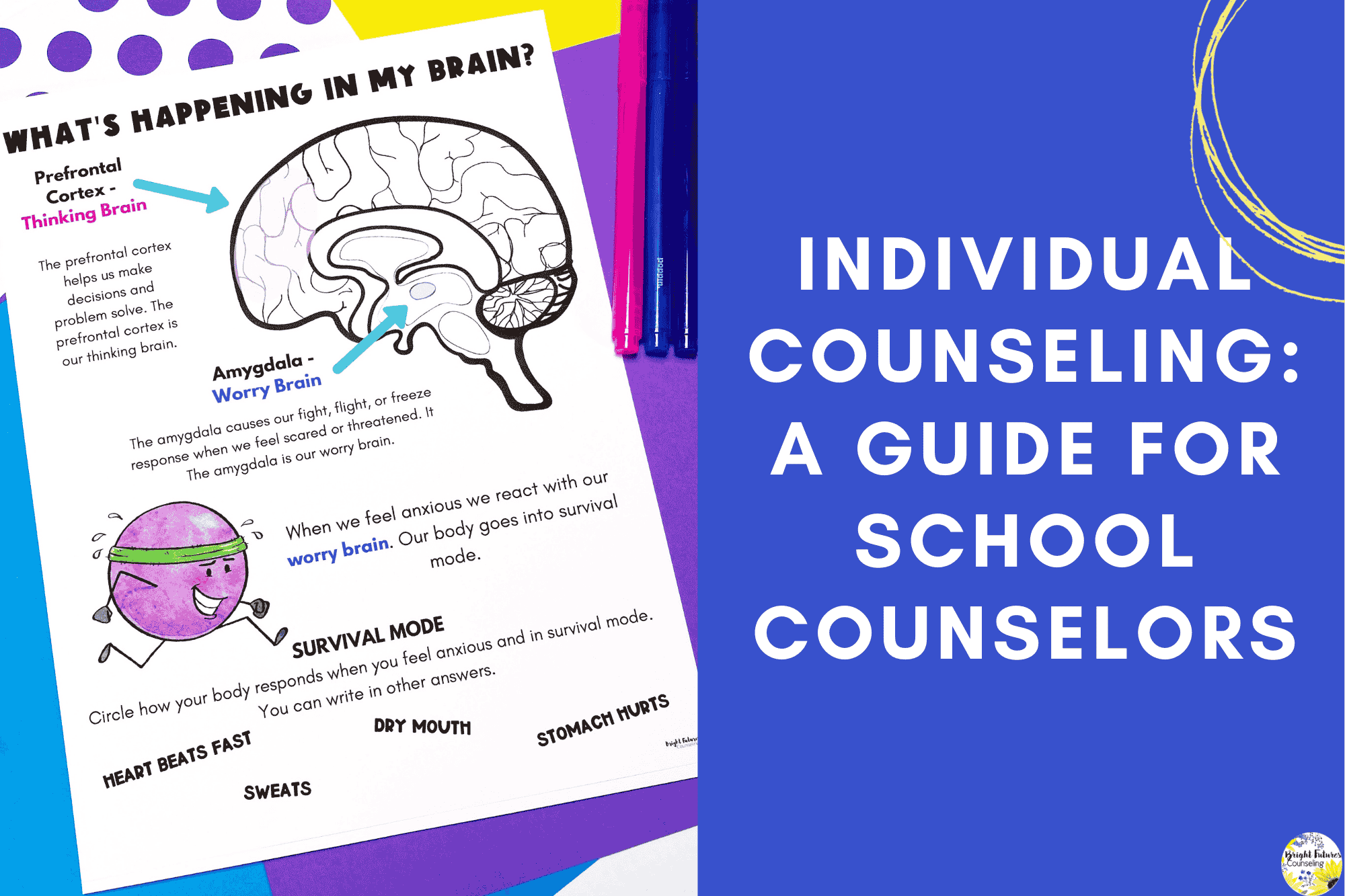 Individual Counseling: A Guide for School Counselors