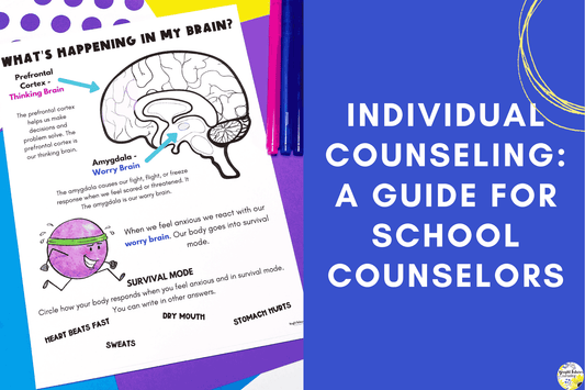 Individual Counseling Guide for School Counselors