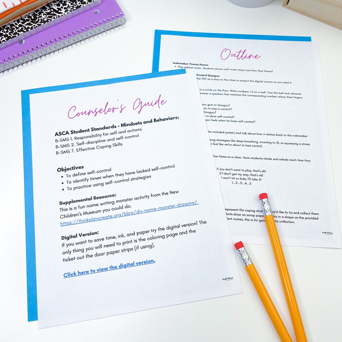 Bright Futures Counseling lesson-planning materials with a counselor guide and lesson outline